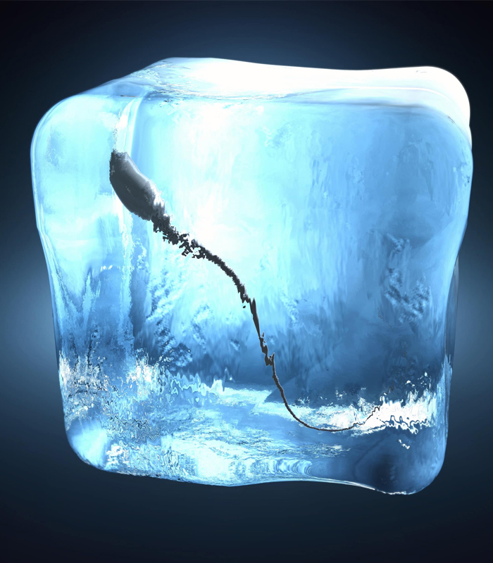 espermatozoide em gelo