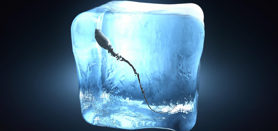 espermatozoide no gelo
